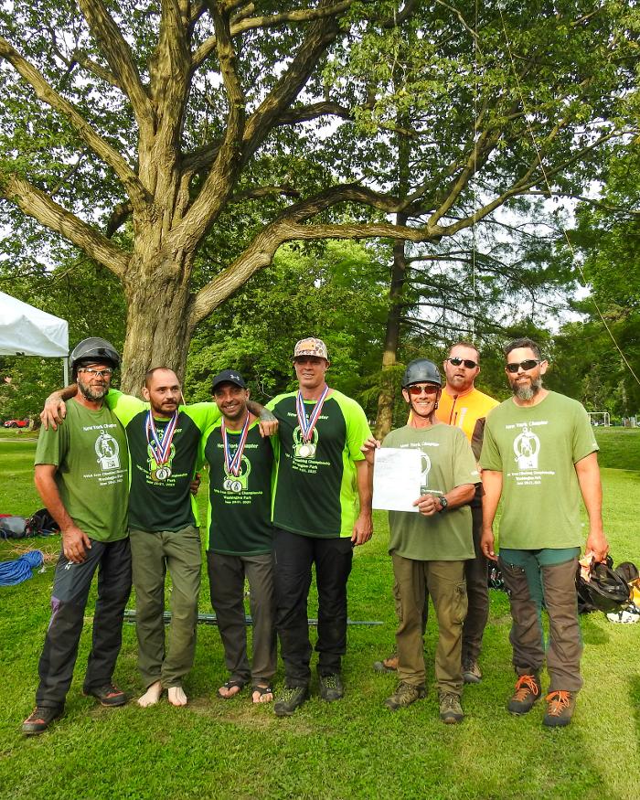 Birchcrest Tree & Landscape Image