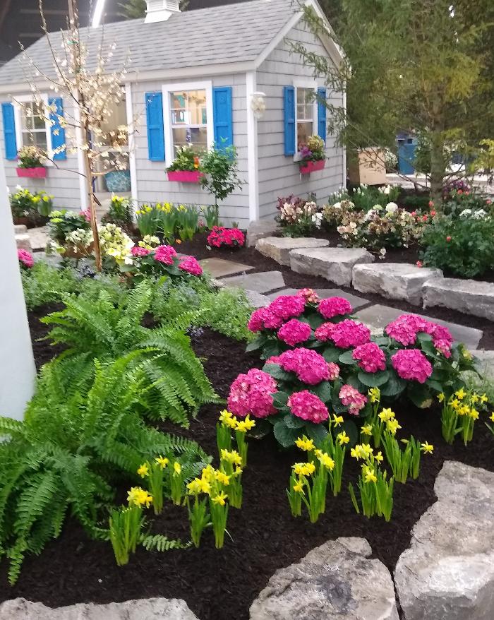 Birchcrest Tree & Landscape Image