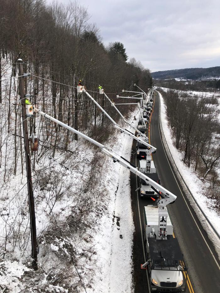Birchcrest Tree & Landscape Image