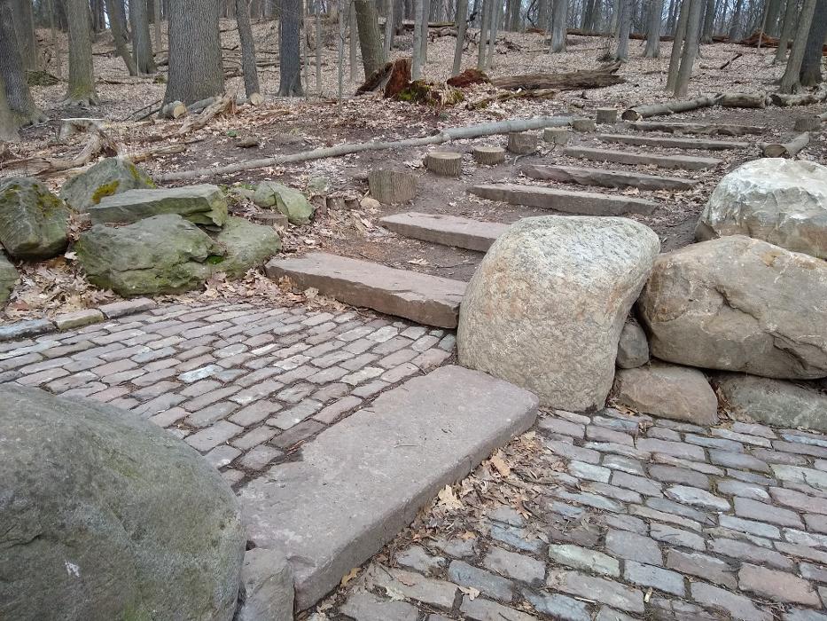 Birchcrest Tree & Landscape Image