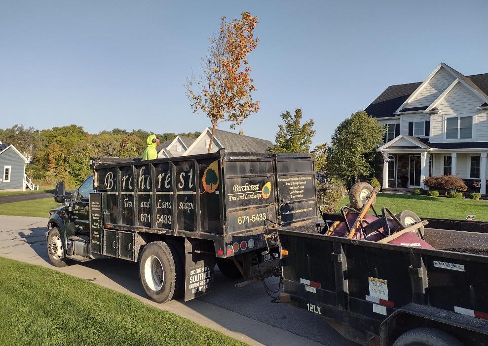 Birchcrest Tree & Landscape Image
