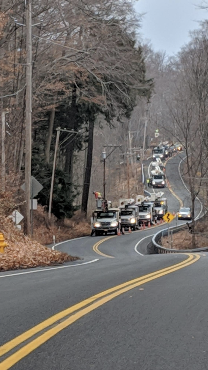 Birchcrest Tree & Landscape Image