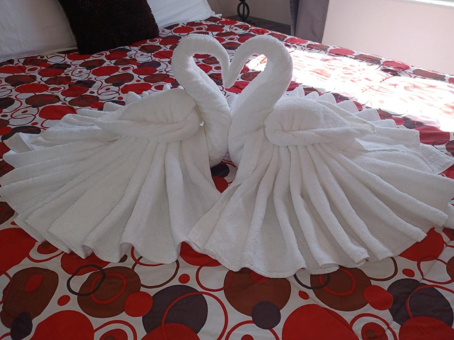 Hot Mess Express Cleaning - Fort Mohave, AZ