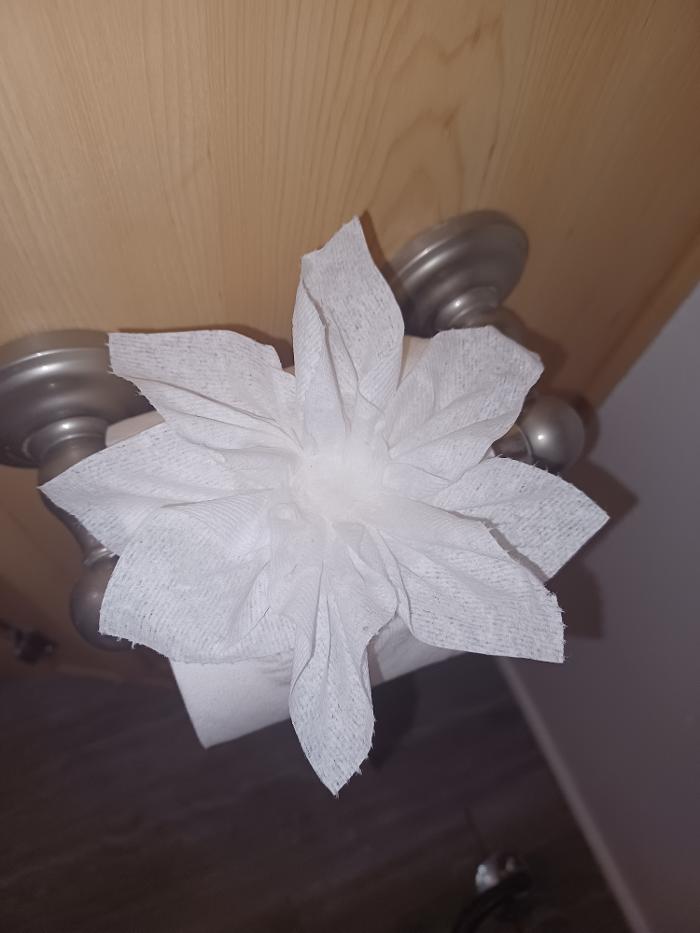 Hot Mess Express Cleaning - Fort Mohave, AZ