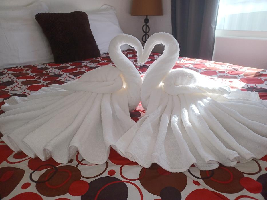 Hot Mess Express Cleaning - Fort Mohave, AZ