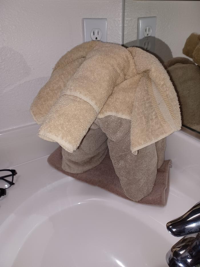 Hot Mess Express Cleaning - Fort Mohave, AZ