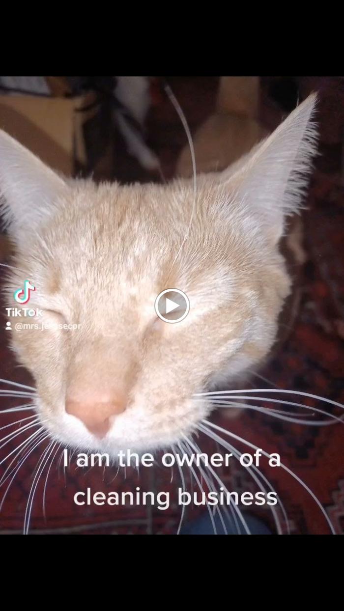 Hot Mess Express Cleaning - Fort Mohave, AZ