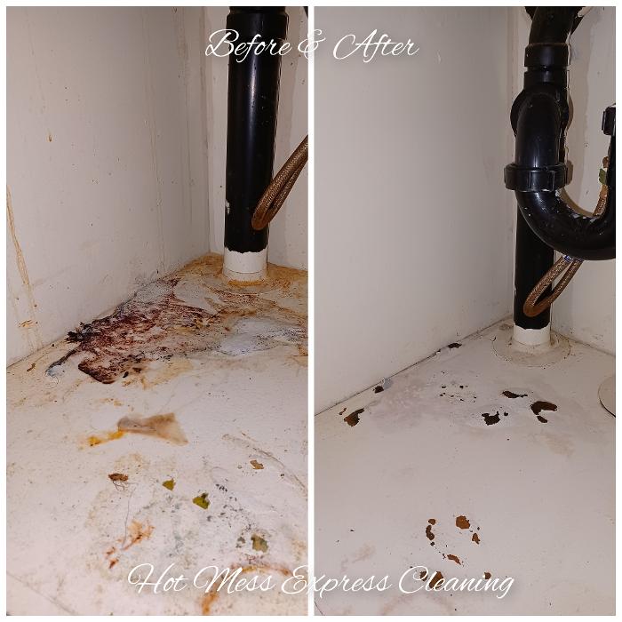 Hot Mess Express Cleaning - Fort Mohave, AZ