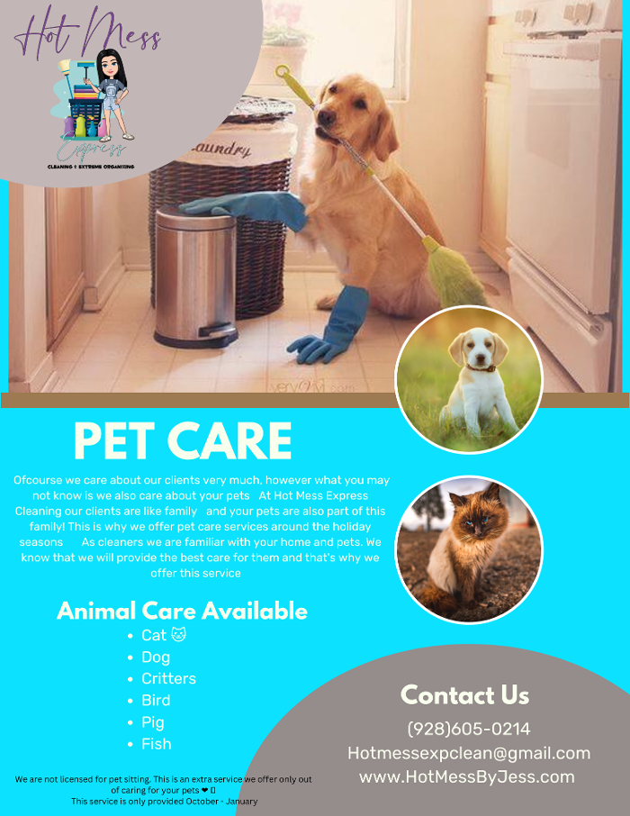 Hot Mess Express Cleaning - Fort Mohave, AZ