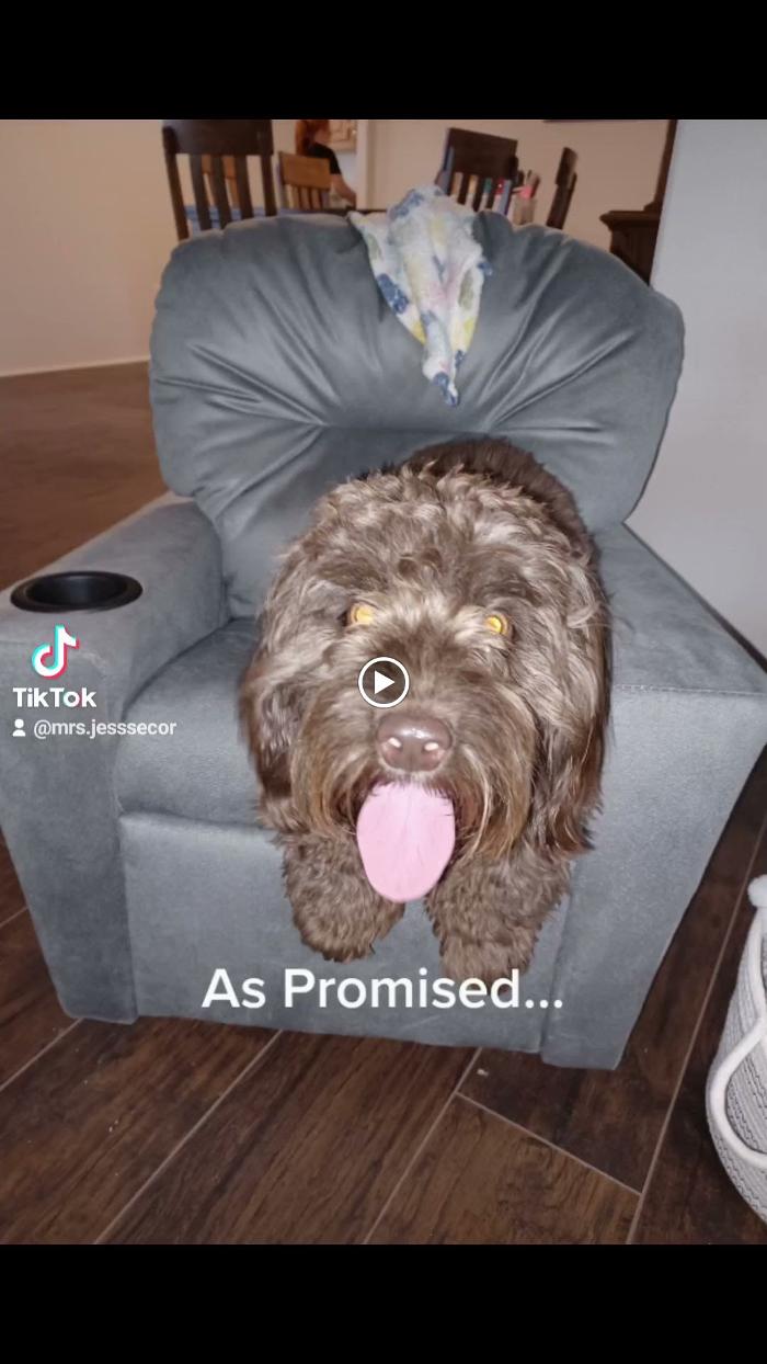 Hot Mess Express Cleaning - Fort Mohave, AZ