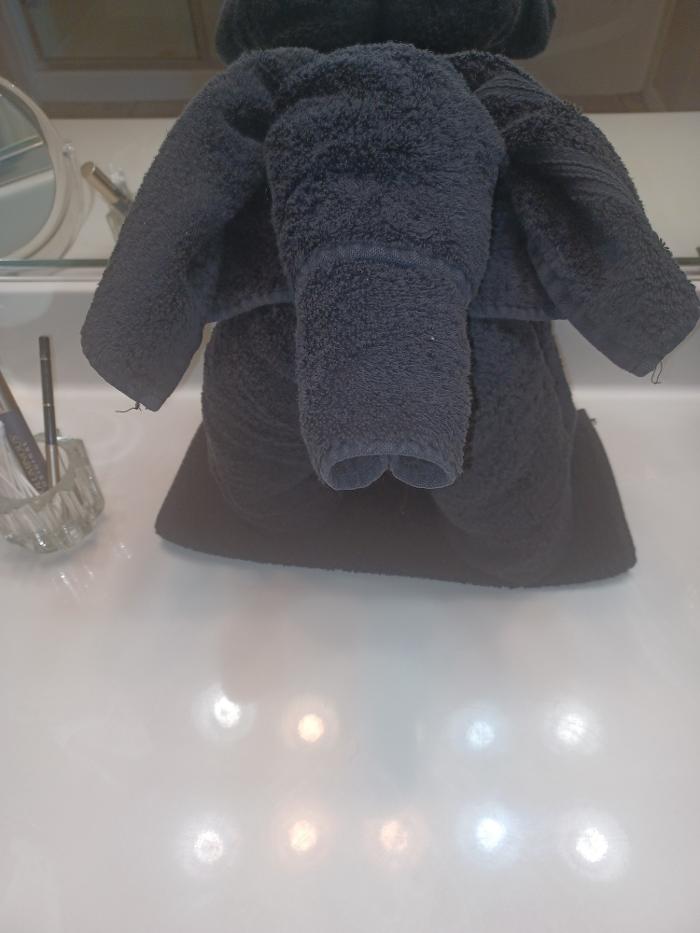 Hot Mess Express Cleaning - Fort Mohave, AZ