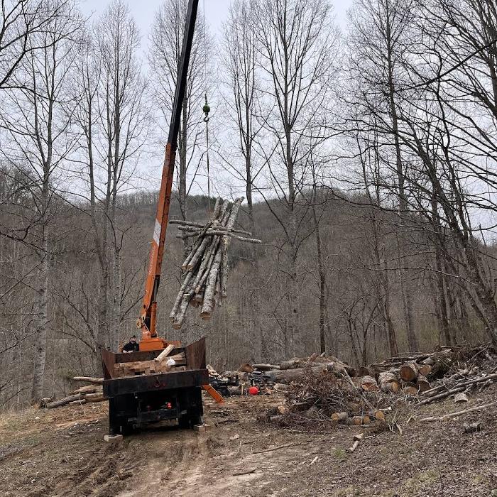 Cunningham Tree Service - Cullowhee, NC