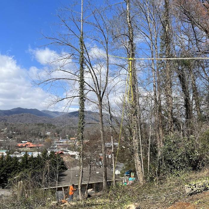 Cunningham Tree Service - Cullowhee, NC