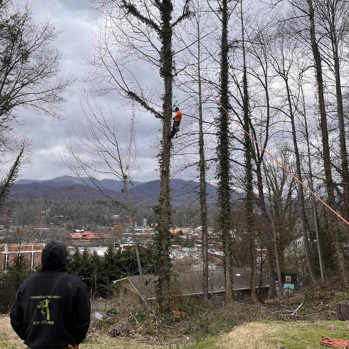 Cunningham Tree Service - Cullowhee, NC
