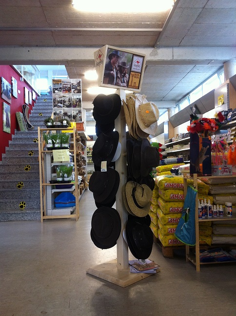 Galerie-Thumbnail