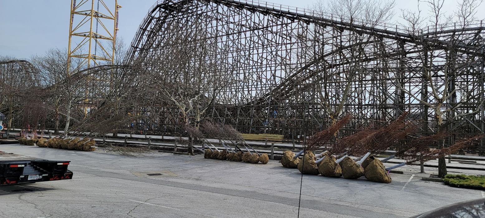 Wolfscape - Northfield, OH