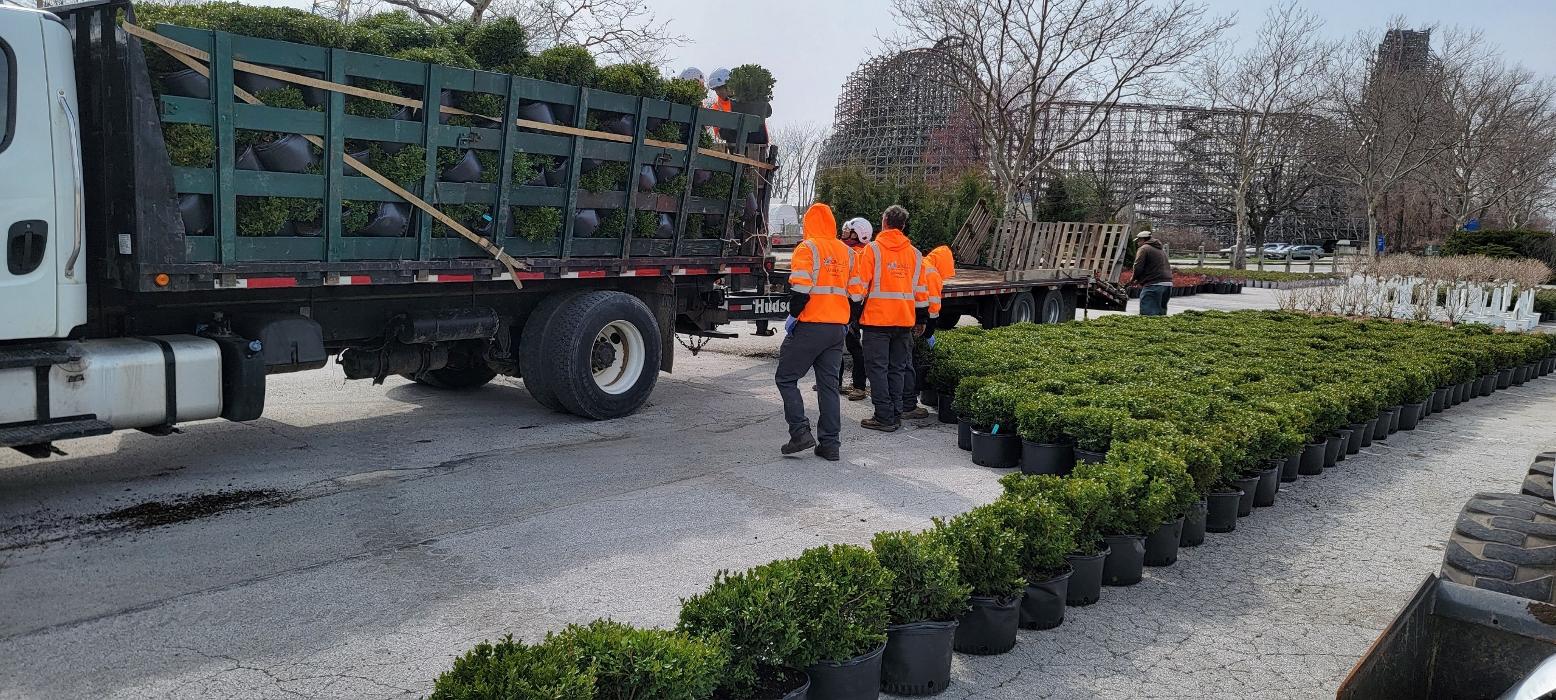 Wolfscape - Northfield, OH