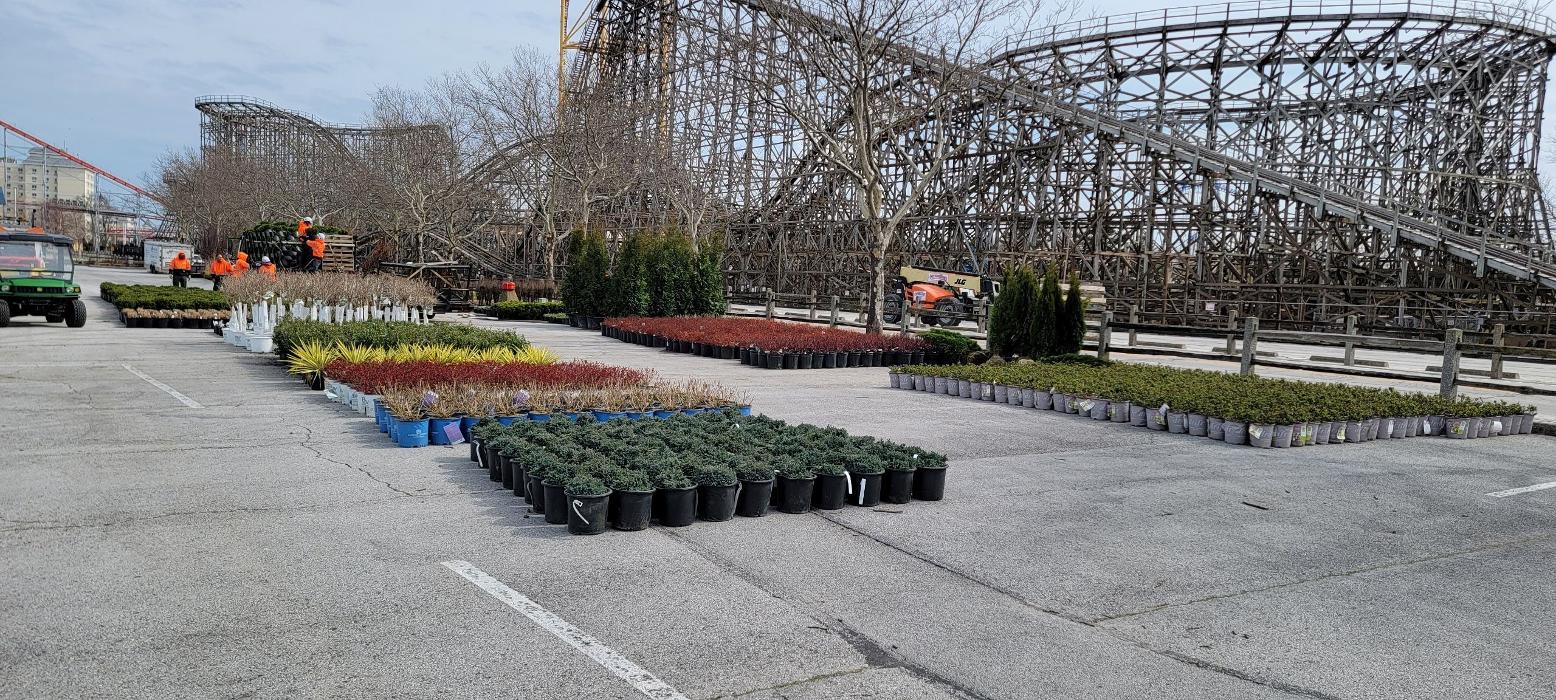 Wolfscape - Northfield, OH