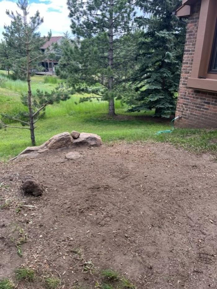 Alpine Stump - Denver, CO