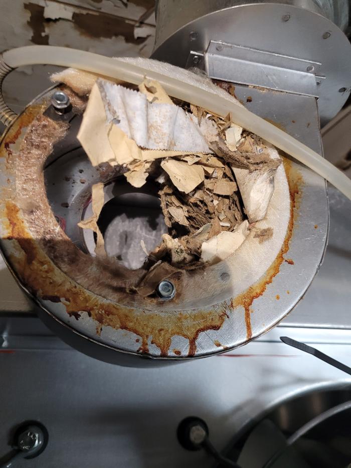 Rare Heating and Air - Philadelphia, PA