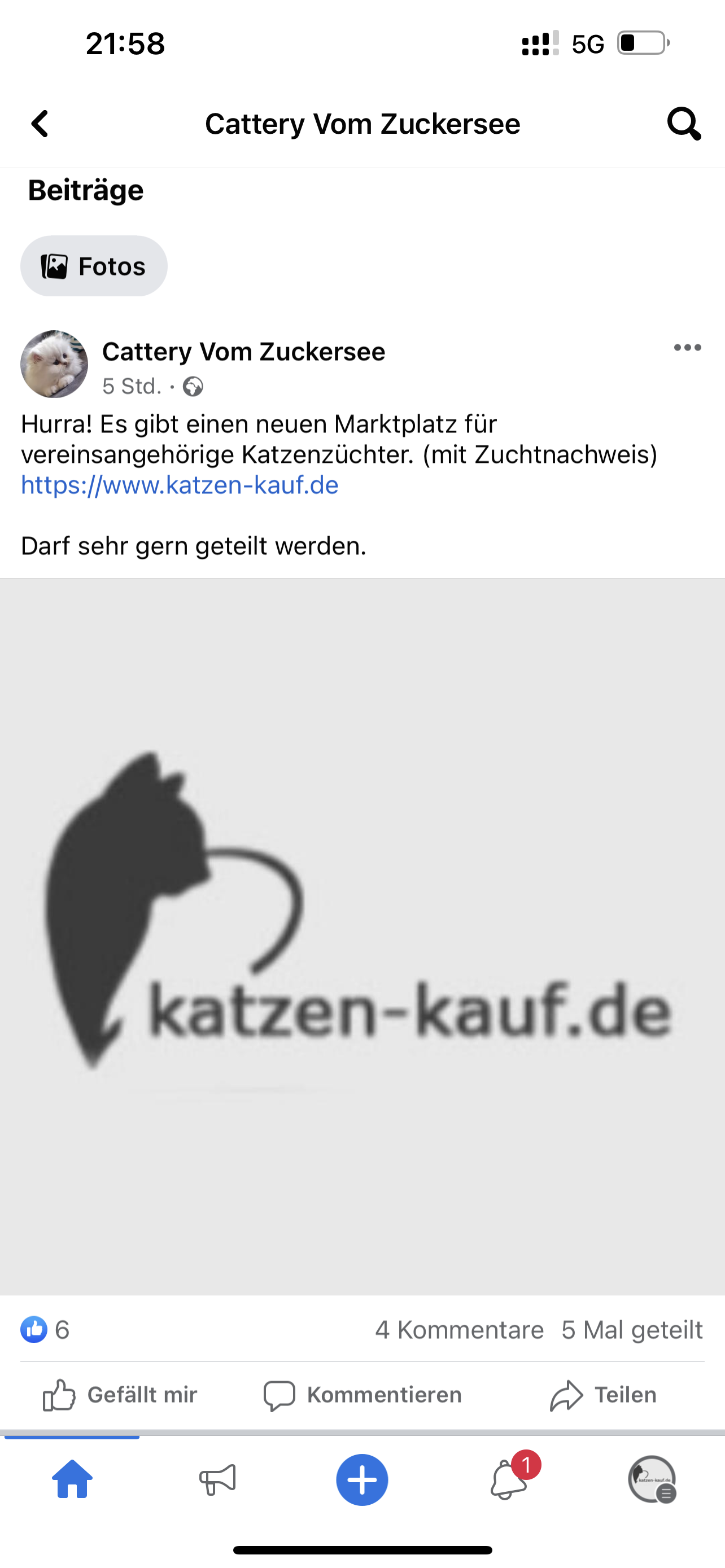 Galerie-Thumbnail