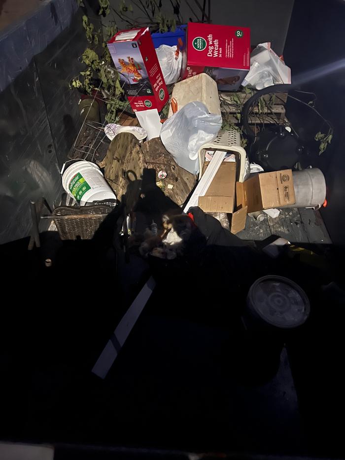 Dawsons Dumpster Rentals - Jacksonville, FL