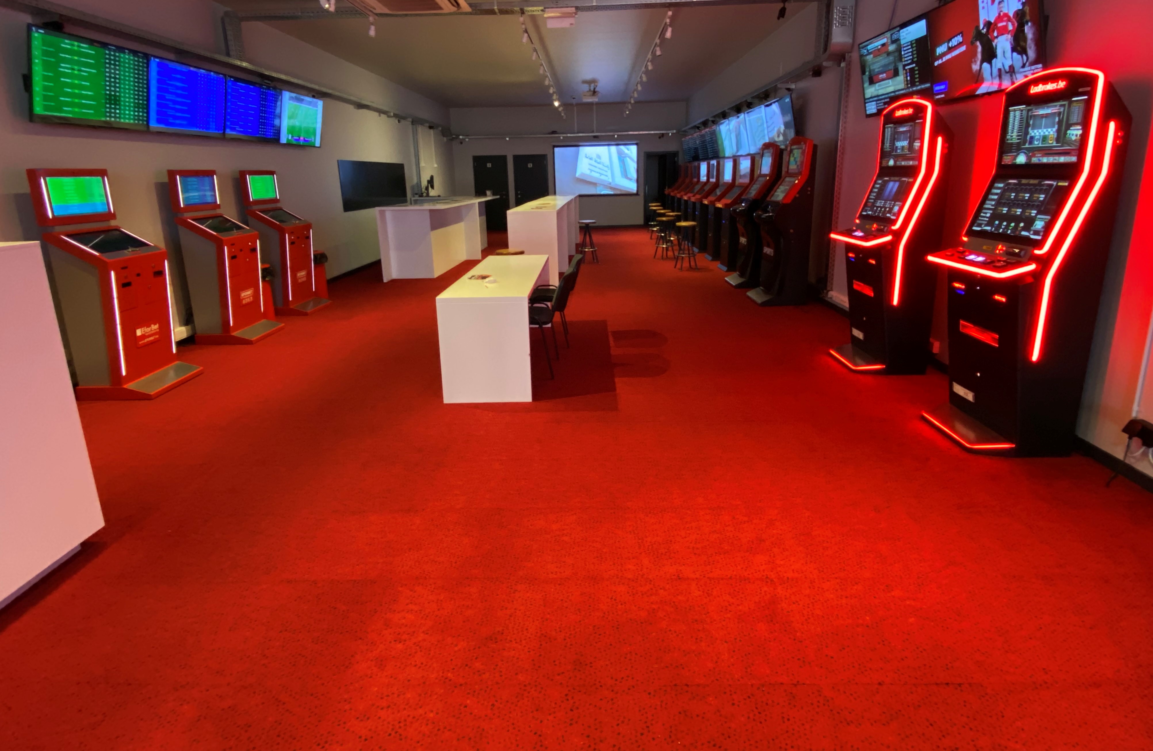 Miniature de la galerie