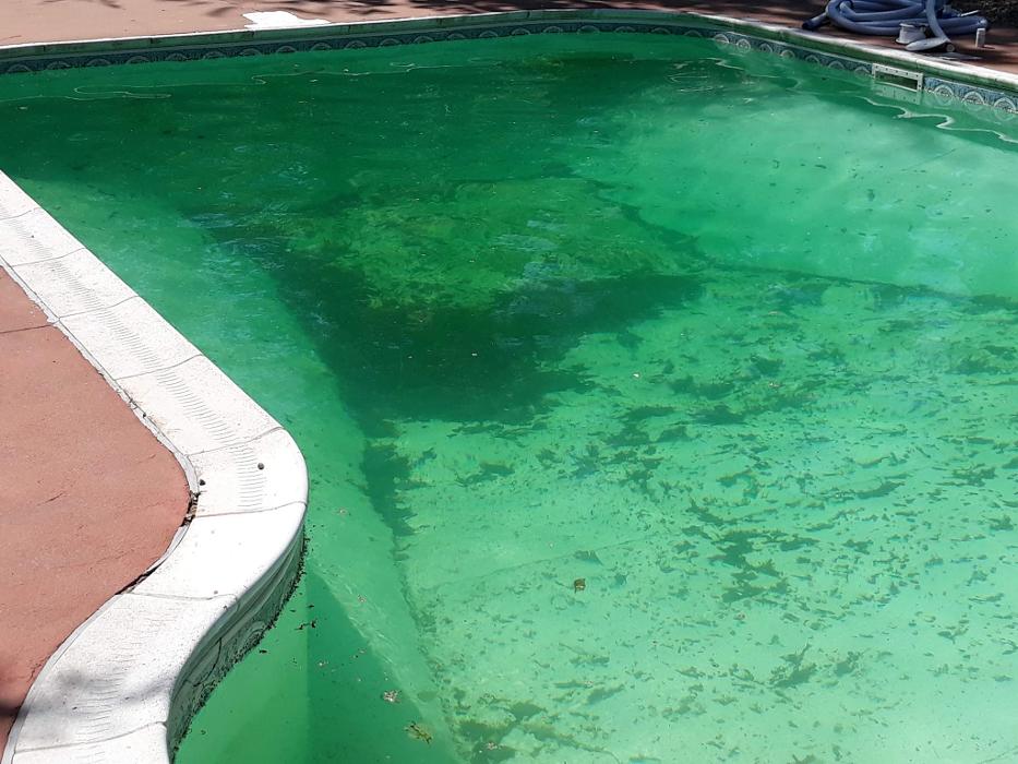 ImpeccaPools - New Bedford, MA