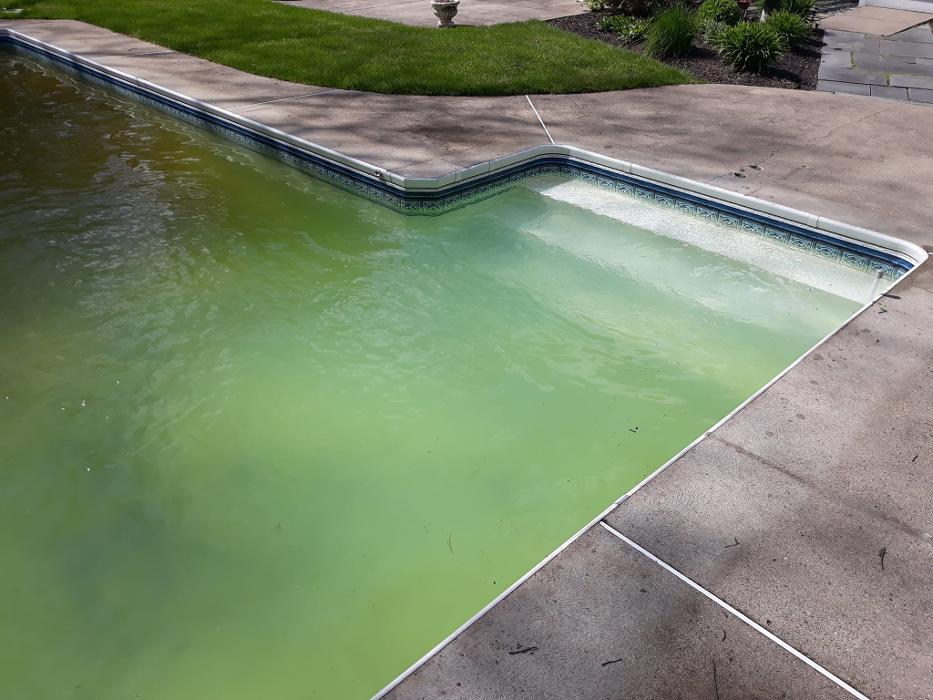 ImpeccaPools - New Bedford, MA