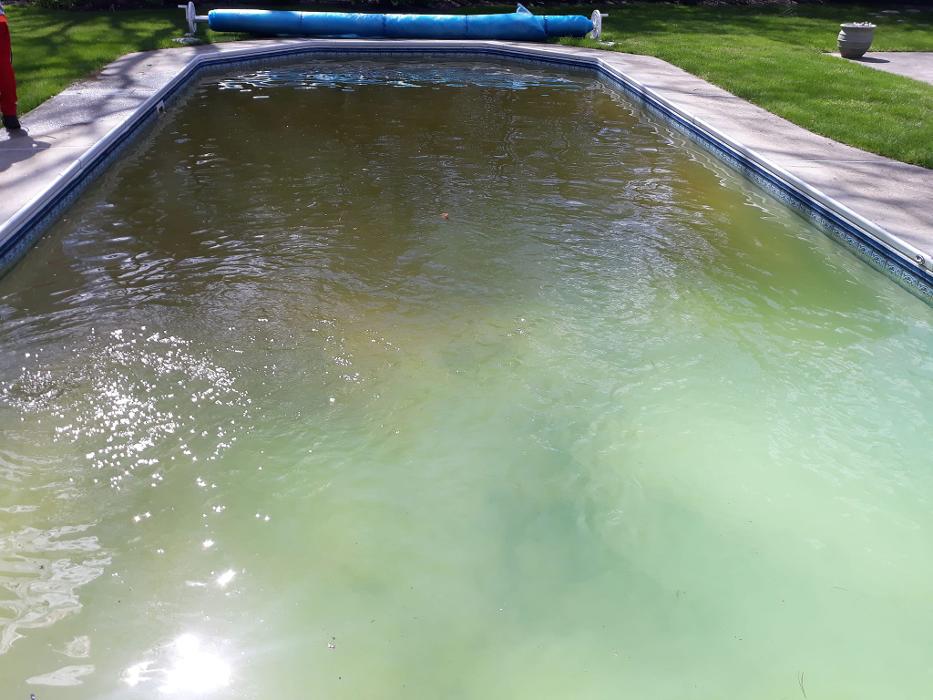 ImpeccaPools - New Bedford, MA