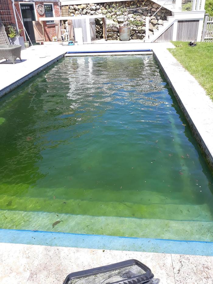 ImpeccaPools - New Bedford, MA
