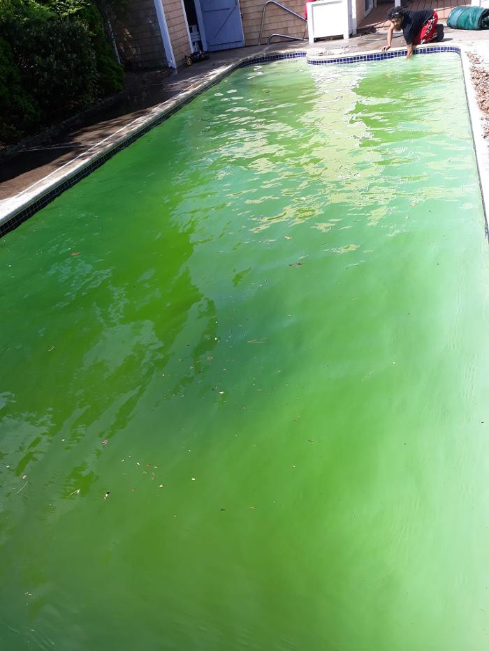 ImpeccaPools - New Bedford, MA