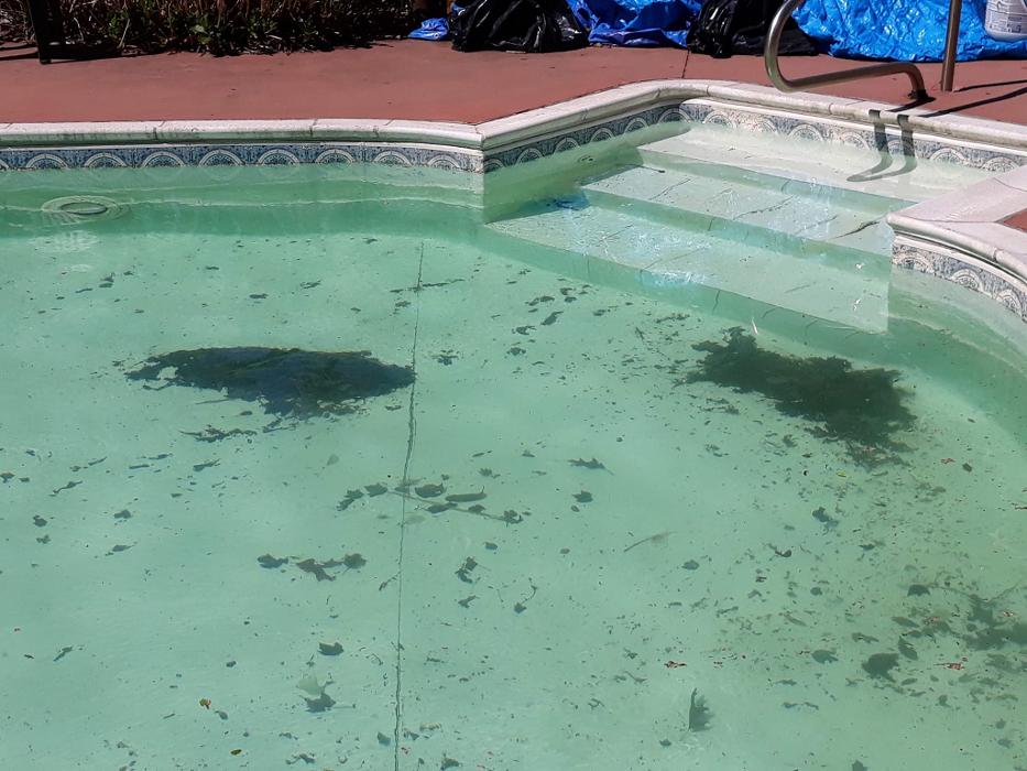 ImpeccaPools - New Bedford, MA