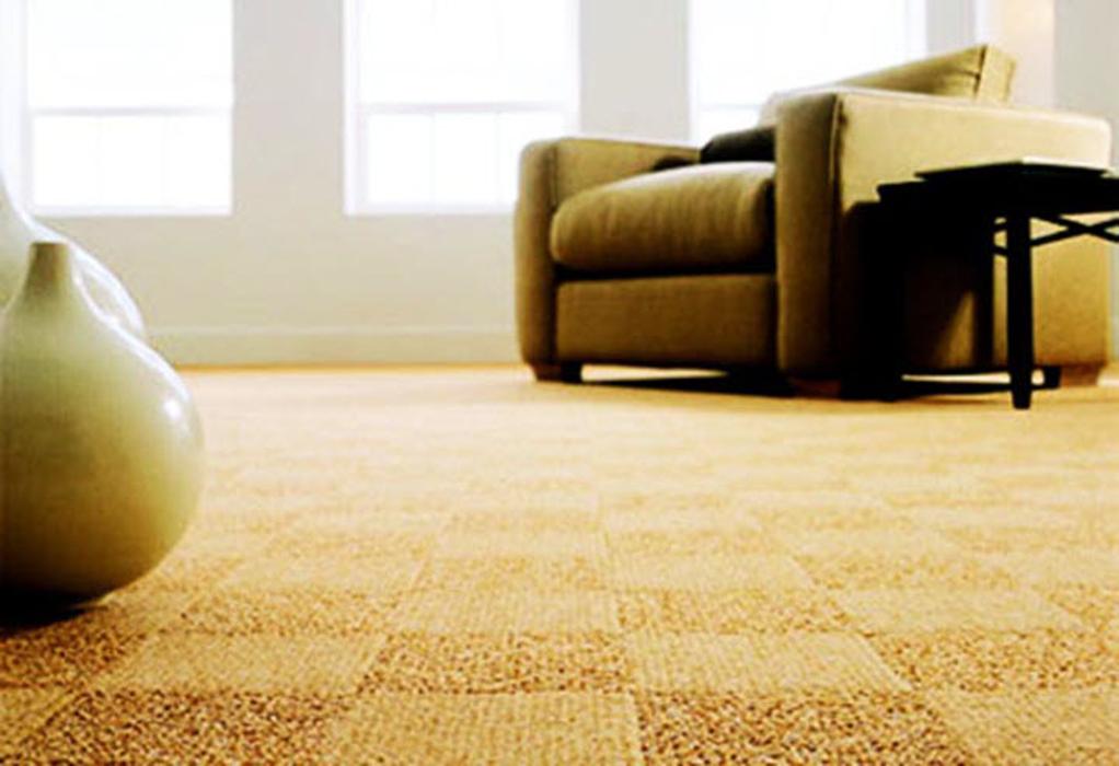 Full House Carpet Cleaning - Fort Collins, CO