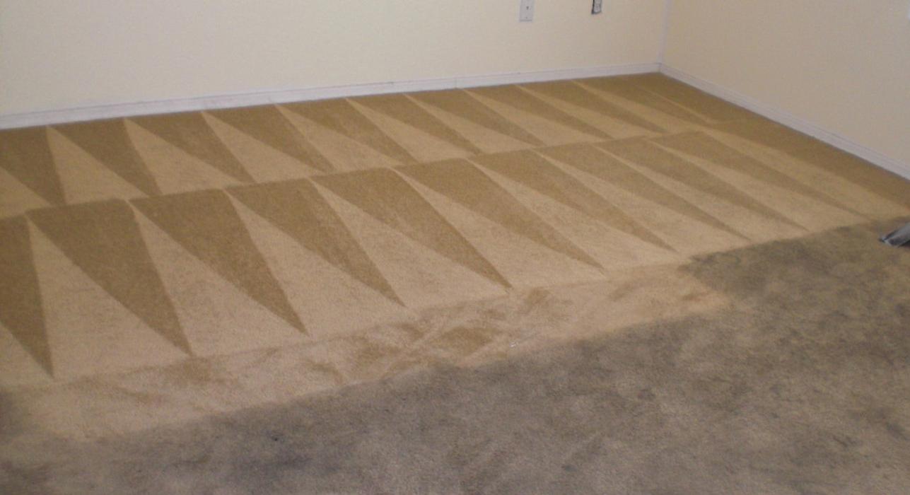 Full House Carpet Cleaning - Fort Collins, CO