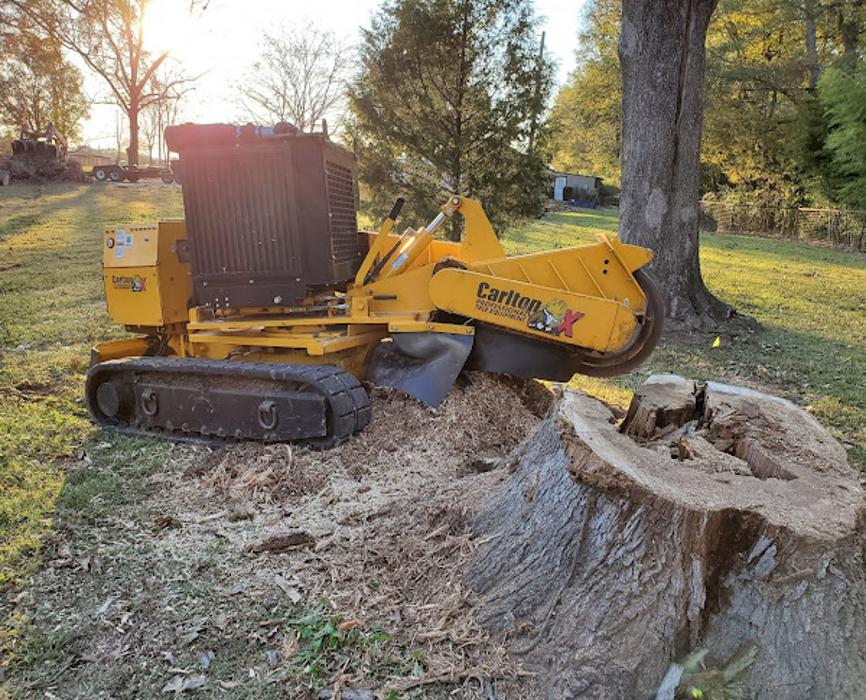 Garrison McKinney Tree Service - Tupelo, MS
