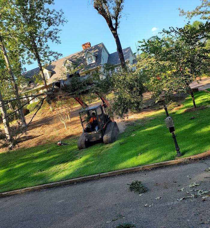 Garrison McKinney Tree Service - Tupelo, MS
