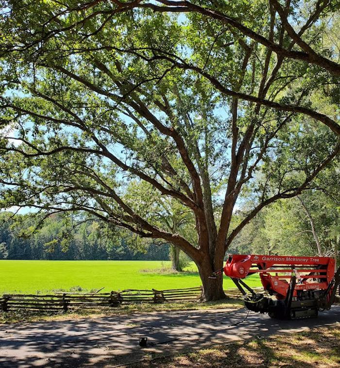 Garrison McKinney Tree Service - Tupelo, MS