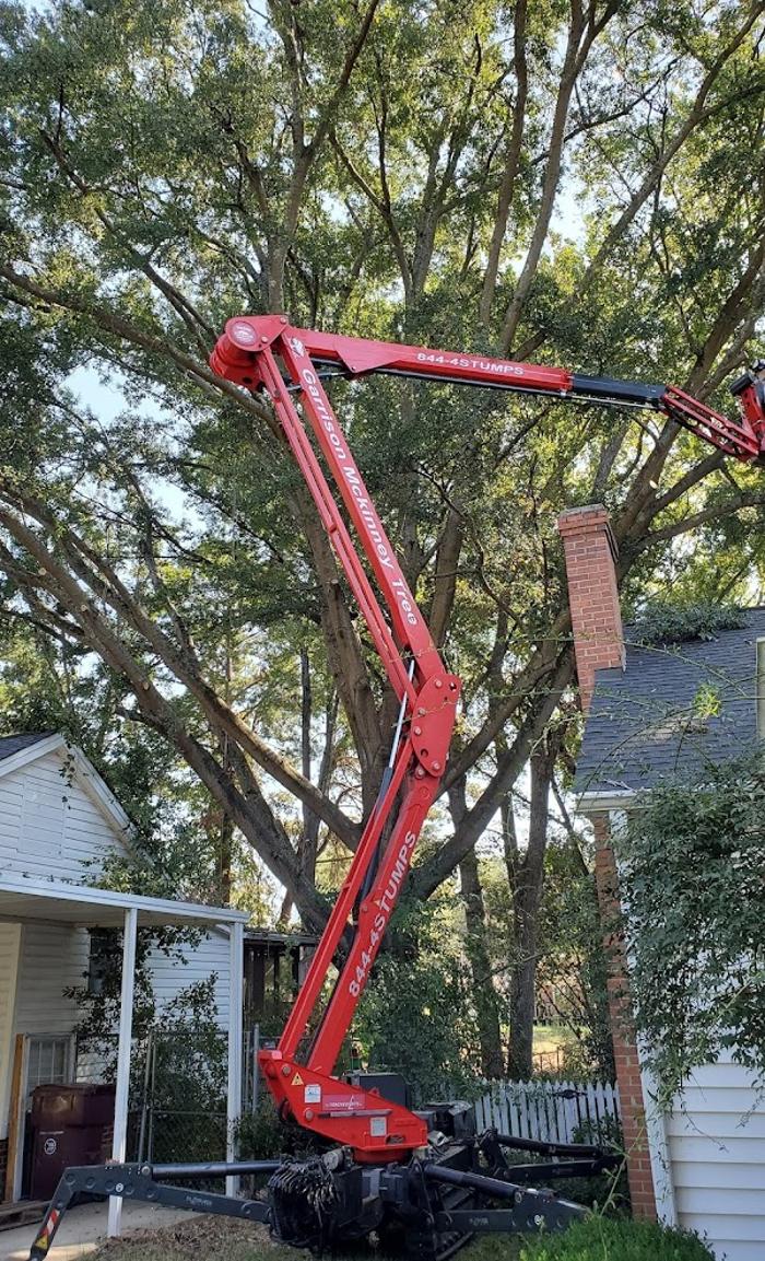 Garrison McKinney Tree Service - Tupelo, MS