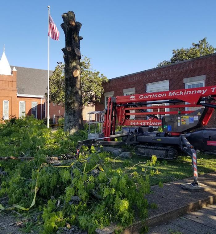 Garrison McKinney Tree Service - Tupelo, MS