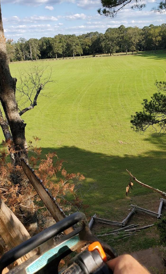 Garrison McKinney Tree Service - Tupelo, MS