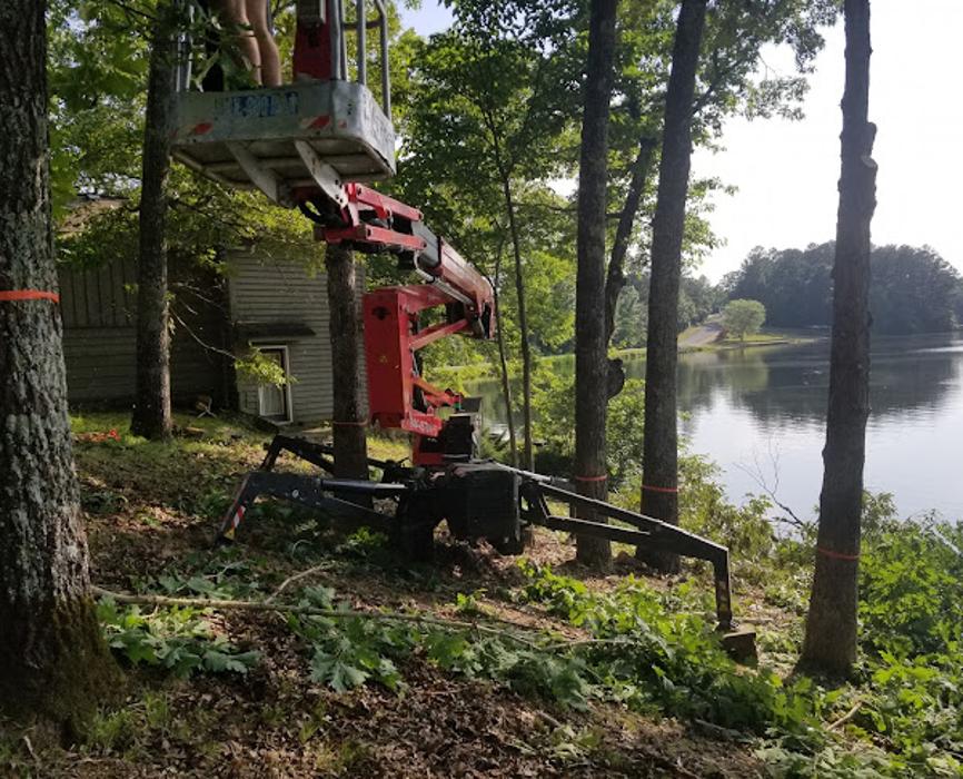 Garrison McKinney Tree Service - Tupelo, MS