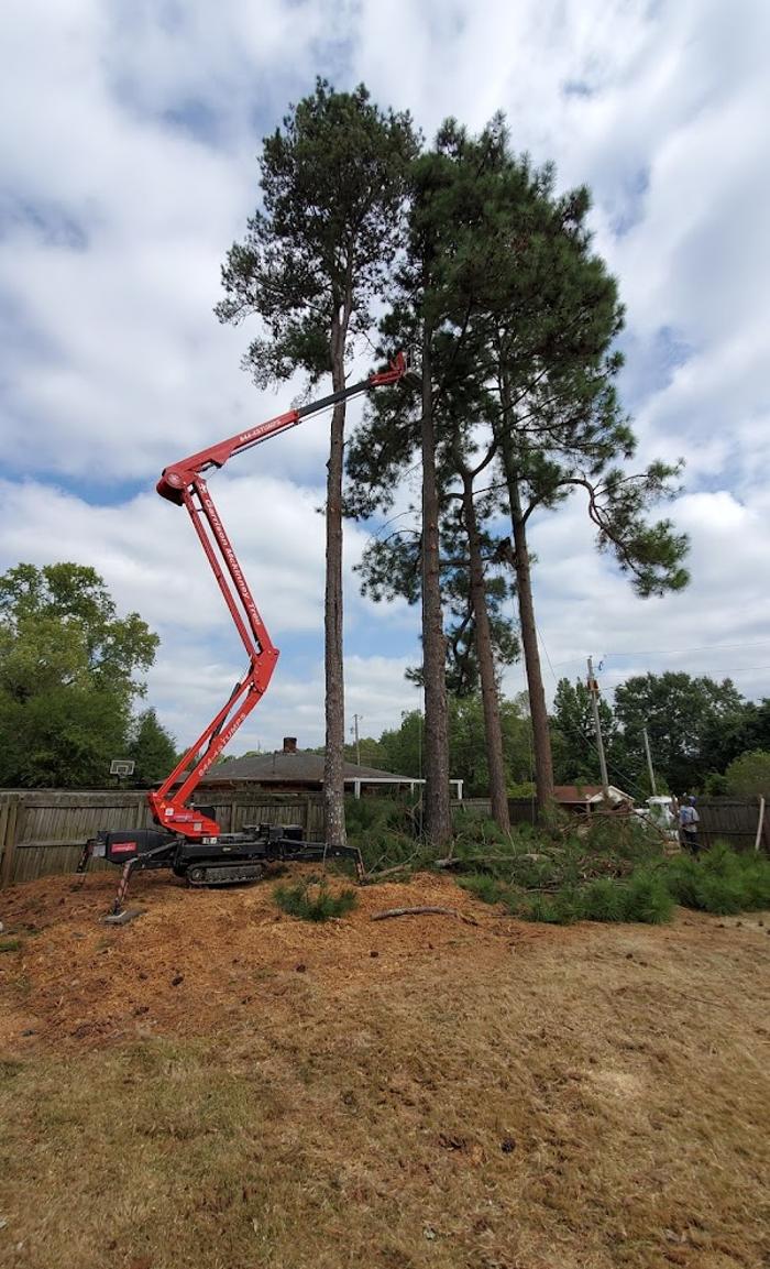 Garrison McKinney Tree Service - Tupelo, MS