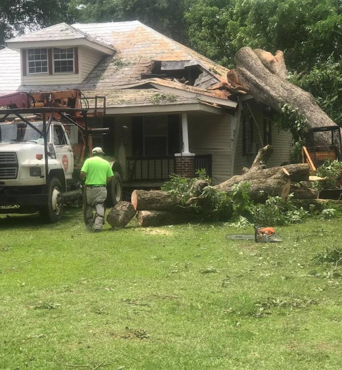 Garrison McKinney Tree Service - Tupelo, MS