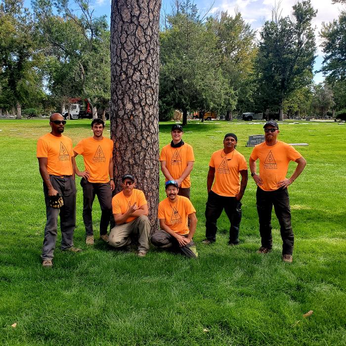 Garrett Tree Service - Colorado Springs, CO