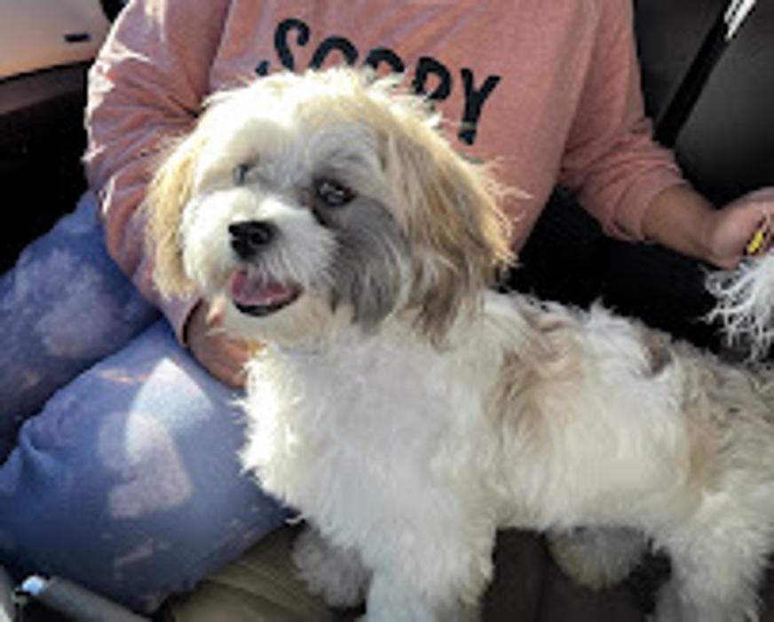 Petagree Pet Center - Madison, AL