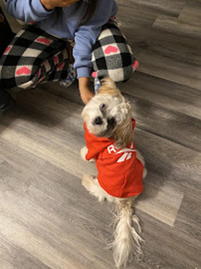 Petagree Pet Center - Madison, AL