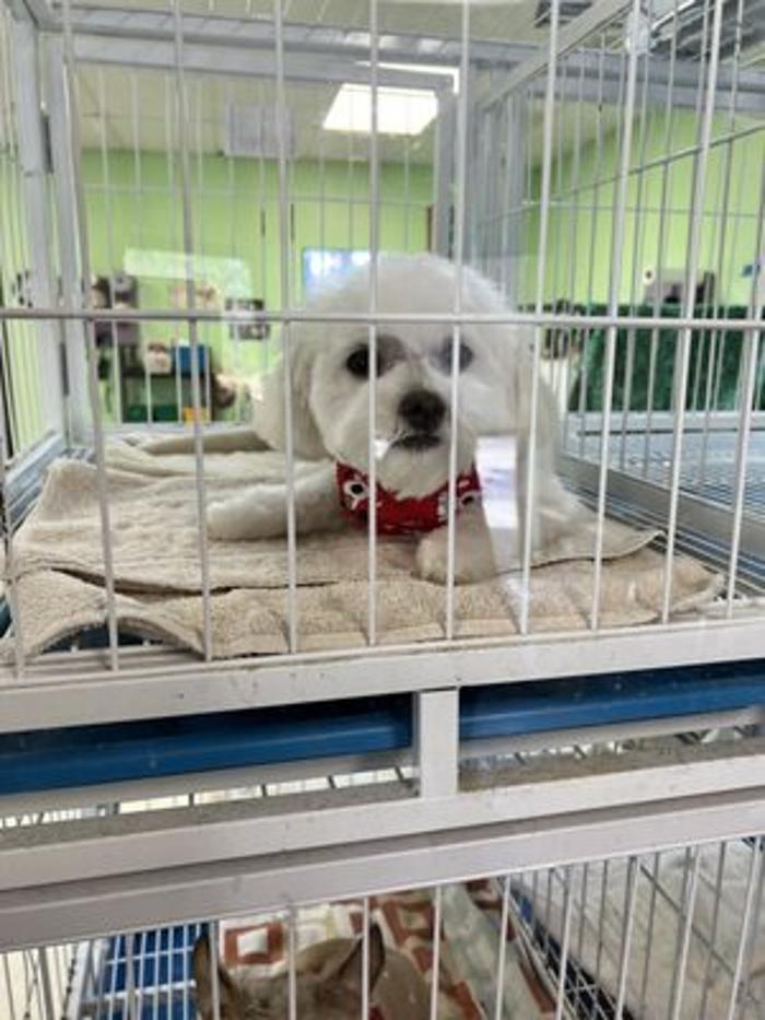 Petagree Pet Center - Madison, AL