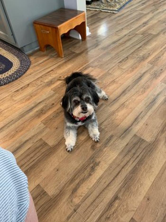 Petagree Pet Center - Madison, AL