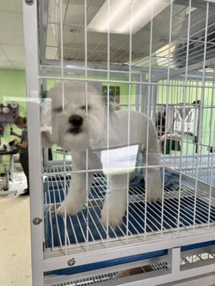 Petagree Pet Center - Madison, AL